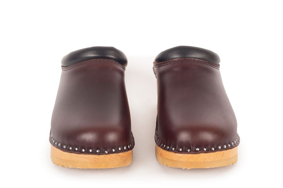 Rembrandt Brown Pull Up