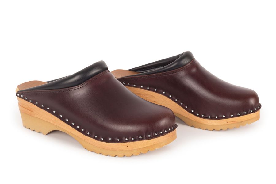 Rembrandt Brown Pull Up