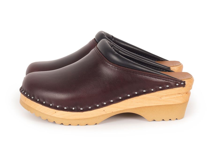 Rembrandt Brown Pull Up